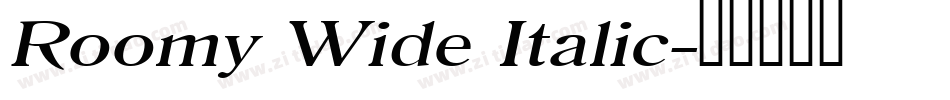 Roomy Wide Italic字体转换